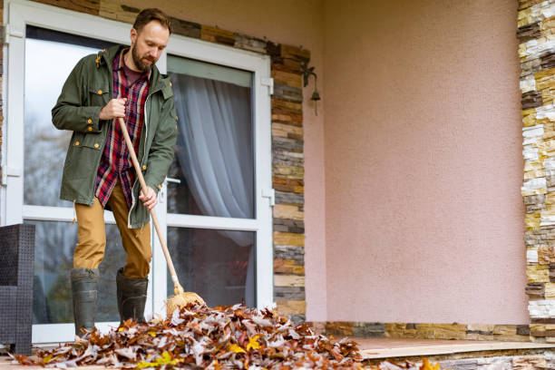 Yard Cleanup Services in Beardstown, IL